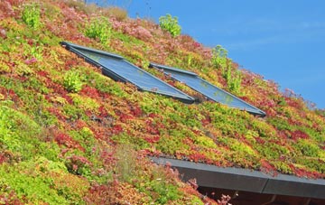 Blackshaw Moor living roof systems